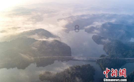 小猫钓鱼游戏龙王版有船
